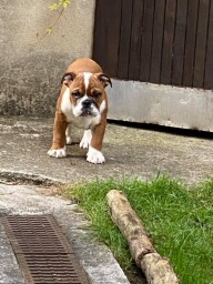 Enjoy Entertainment aka HUGO